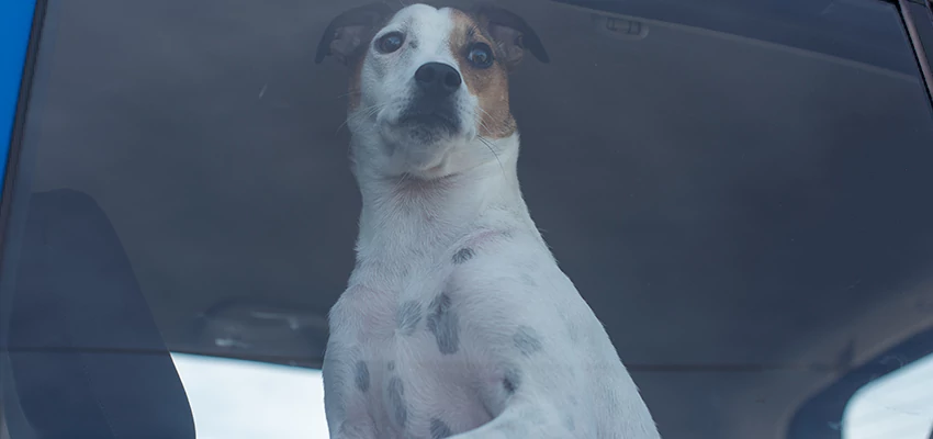 Car Lockout Solutions in Florence-Graham, California